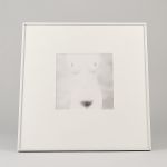 1760&nbsp;5144&nbsp;Fotografisk bild